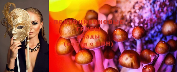 прущая мука Абаза