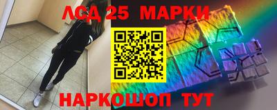 гидра Заводоуковск