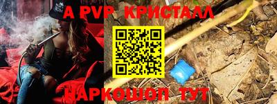 гидра Заводоуковск