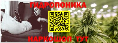 гидра Заводоуковск