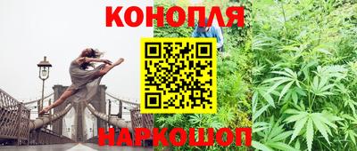 гидра Заводоуковск