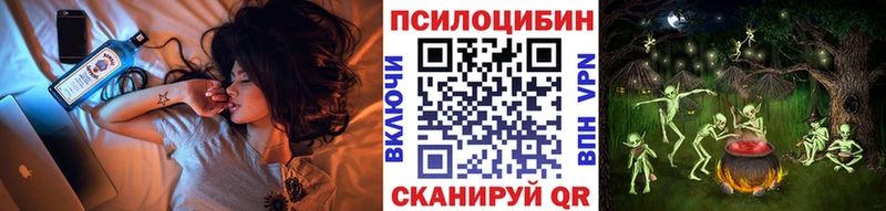 Псилоцибиновые грибы мухоморы Димитровград