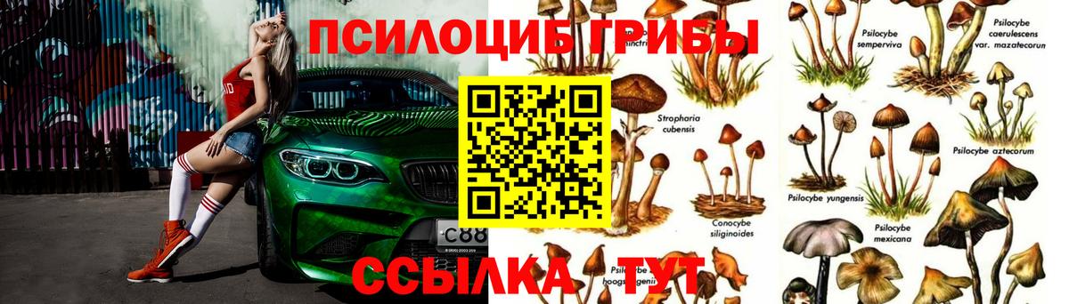 Псилоцибиновые грибы ЛСД Димитровград