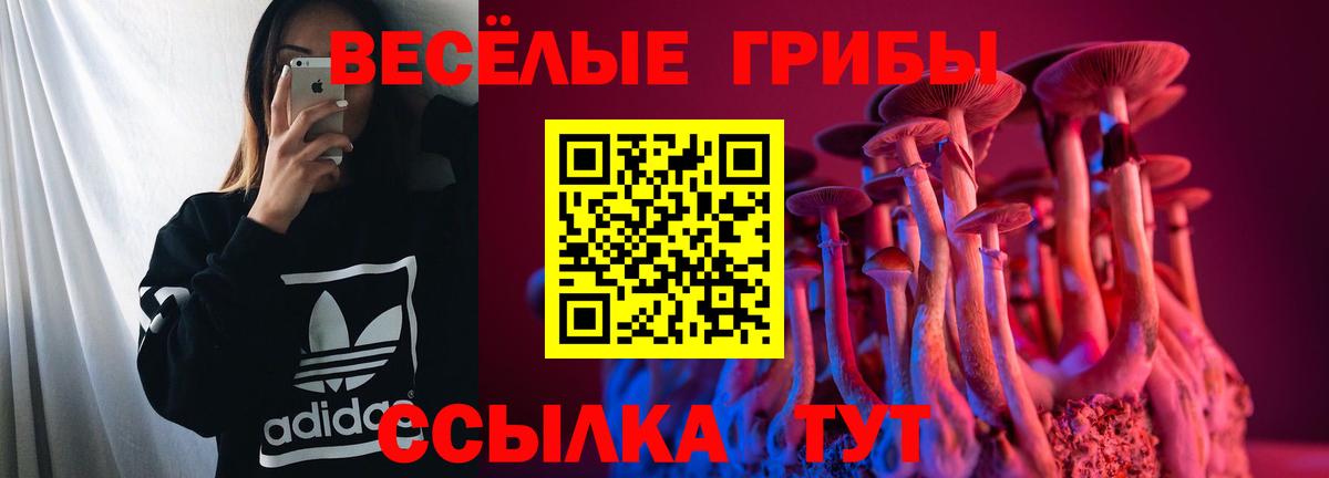 Димитровград  Псилоцибиновые грибы прущие грибы  где купить наркоту  Вход с VPN 